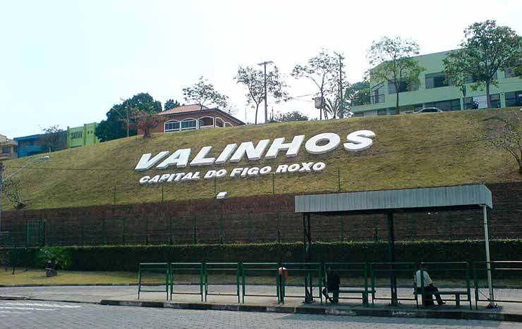 Desentupidora em Valinhos | Hidrojateamento em Valinhos | Esgoto entupido em Valinhos | Dedetizadora em Valinhos